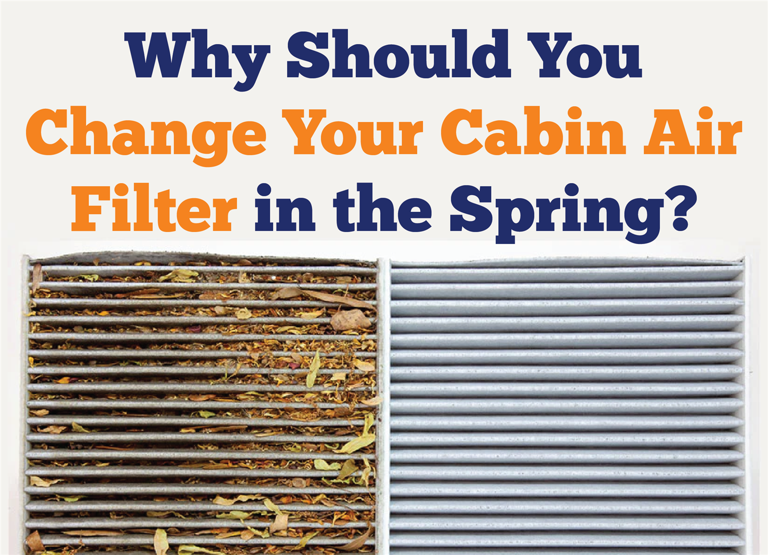 Why You Should Change Your Cabin Air Filter in the Spring